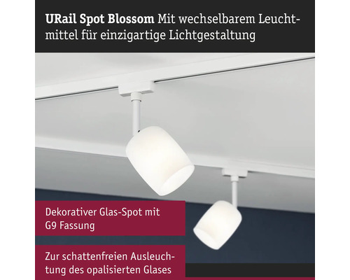 URail Spot Blossom mit wechselbarem Leuchtmittel an einer weißen Schiene