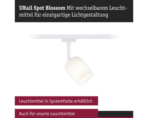 URail Spot Blossom mit austauschbarem Leuchtmittel zur Lichtgestaltung