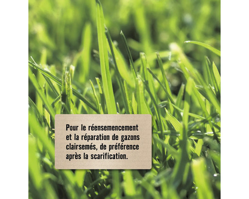 Pour le réensemencement et la réparation de gazons clairsemés, de préférence après la scarification