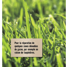 Réparation du gazon pour les zones dénudées, par exemple à cause des taupinières.