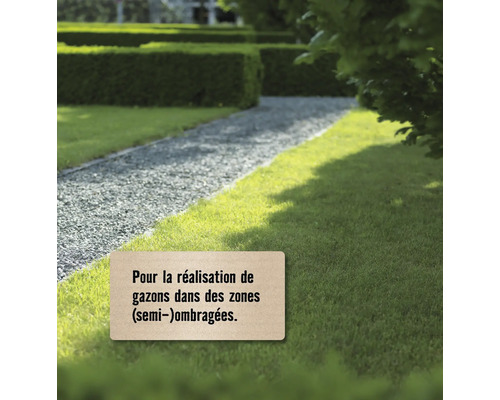 Image de paysage avec pelouse, chemin de gravier et haie taillée