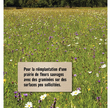 Prairie fleurie avec des graminées pour les surfaces peu sollicitées