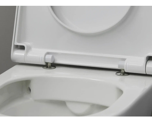 Gros plan de toilettes blanches avec abattant ouvert.