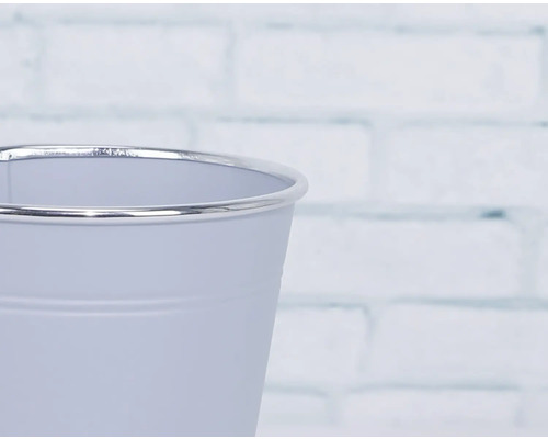 Dekorative Metall-Pflanzgefäß mit silbernem Rand