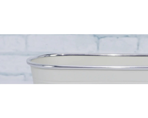 Detailaufnahme einer weißen Pflanzschale mit silberner Umrandung