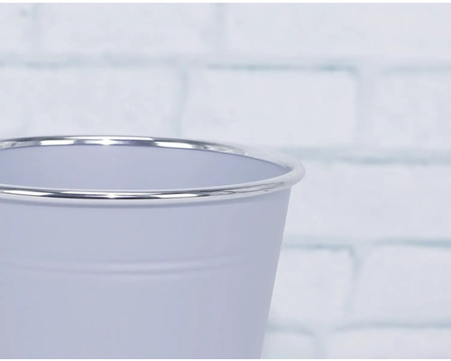 Blumentopf mit silbernem Rand