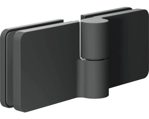 Charnière de porte en verre pour portes en verre