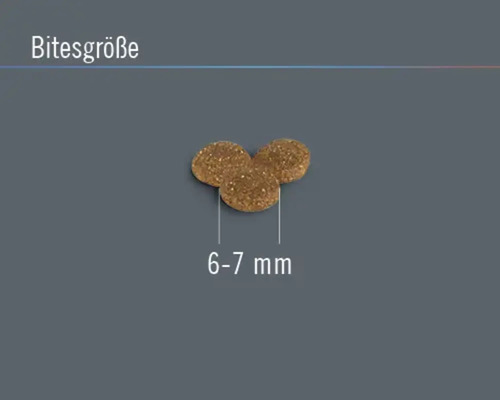 Hundekroketten mit einer Größe von 6 bis 7 Millimetern