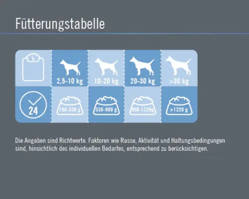 Fütterungstabelle für Hunde mit Gewichtsangaben und Futtermenge