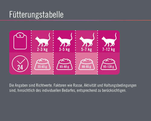 Fütterungstabelle für Katzen mit Gewichtsangaben und Fütterungsempfehlungen