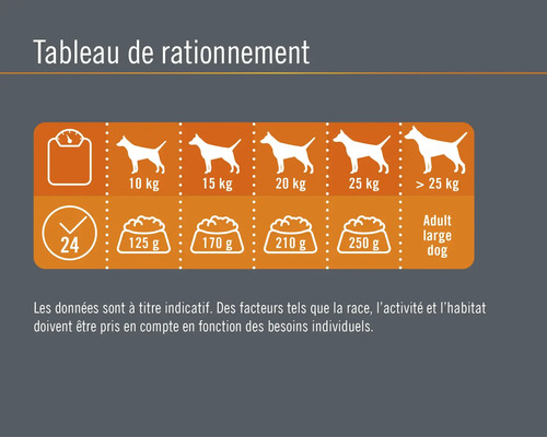 Tableau de rationnement pour chiens selon le poids et la quantité de nourriture