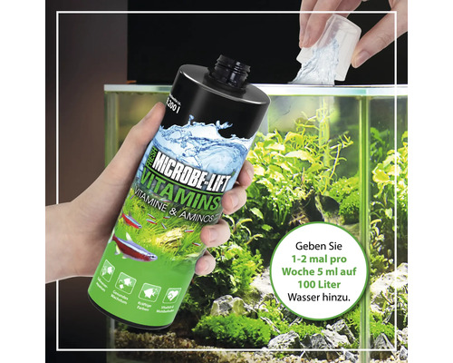 Microbe Lift Vitamine und Aminosäuren für ein Süßwasseraquarium im Einsatz