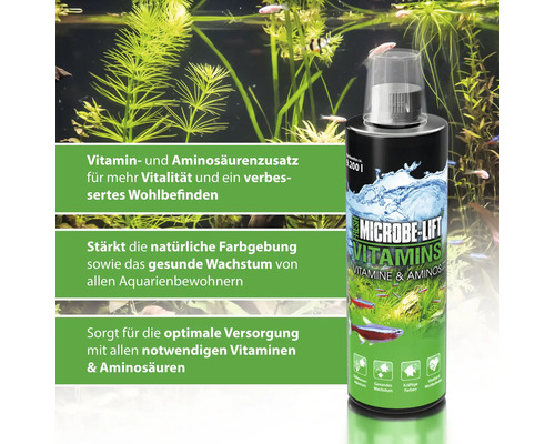Microbe Lift Fresh Vitamins für Aquarien
