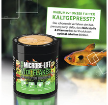 Microbe-Lift Vita Flakes Hauptfutter für Zierfische in einer Dose mit Fisch im Hintergrund