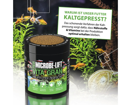 Microbe-Lift Vita Gran aliment principal pour poissons d''ornement avec informations sur le pressage à froid