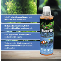 Microbe Lift Special Blend Wasserpflege Bakterien zur Reduzierung von Ammonium und Nitrat