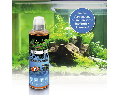 Microbe Lift Special Blend Wasserpflege Bakterien für neue und laufende Aquarien