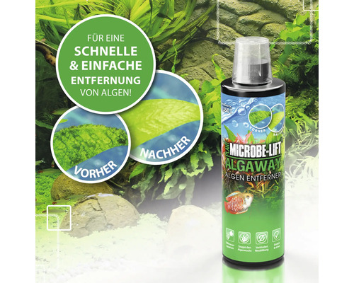 Microbe Lift Algaway Algenentferner für die schnelle und einfache Algenentfernung