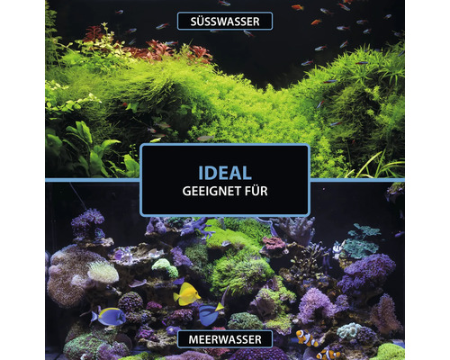 Süßwasser- und Meerwasseraquarium mit Fischen und Pflanzen