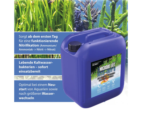 Microbe Lift Nite-Out II Starterbakterien für Aquarien
