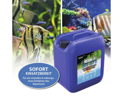 Microbe Lift Nite Out II Starterbakterien Kanister zur sofortigen Verwendung für ein Aquarium