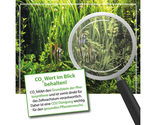 Aquarium mit Fischen und Pflanzen, hervorgehoben durch eine Lupe. Informationstext zur Bedeutung von Kohlendioxid für das Pflanzenwachstum.
