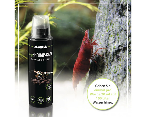 Arka myShrimp Care Garnelenpflege im Aquarium mit roter Garnele