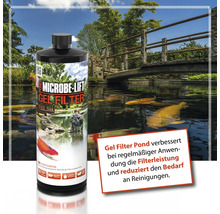 Microbe Lift Gel Filter vor einem Teich mit Fischen und einer Brücke