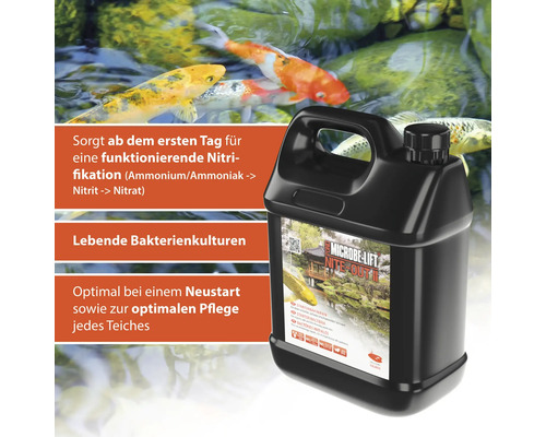 Microbe Lift Nite Out II Flasche zur Teichpflege mit Bakterienkulturen und Karpfen im Hintergrund.