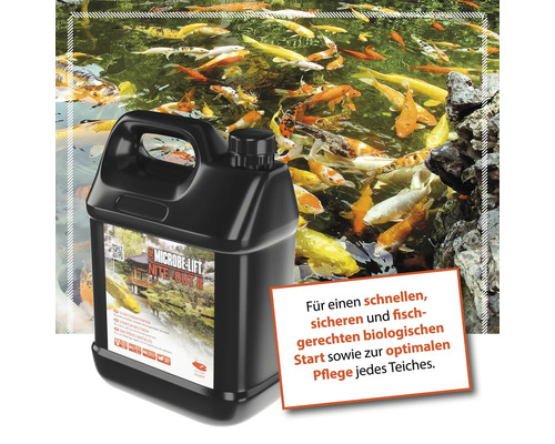 Microbe Lift Nite Out II Teichpflege vor einem Teich mit Koi Karpfen