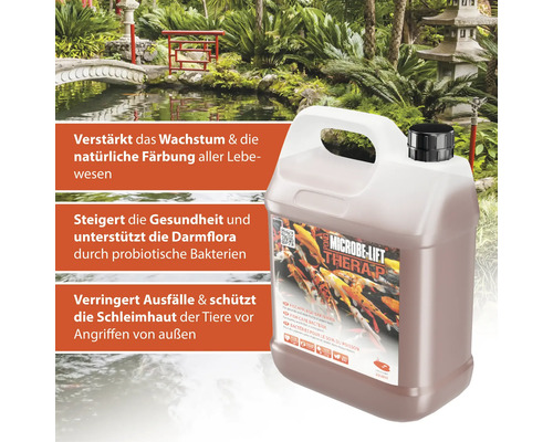 Microbe Lift Thera P Teichpflege für gesundes Teichwasser
