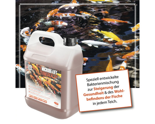 Microbe Lift Therap Teichpflege für gesunde Fische in jedem Teich