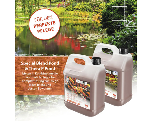 Zwei Behälter Teichpflege Special Blend Pond und Thera P Pond vor einem Teich