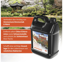 Microbe-Lift Xtreme Wasseraufbereiter im schwarzen Kanister für Gartenteiche