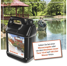 Microbe-Lift Xtreme Wasseraufbereiter im Kanister vor Teichkulisse