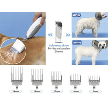 Abbildung einer Schermaschine für Tiere im Einsatz mit verschiedenen Aufsätzen und Vorher-Nachher-Darstellung