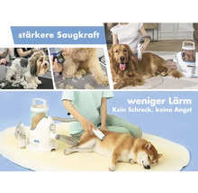 Hundepflege mit Staubsauger für stärkere Saugkraft und weniger Lärm