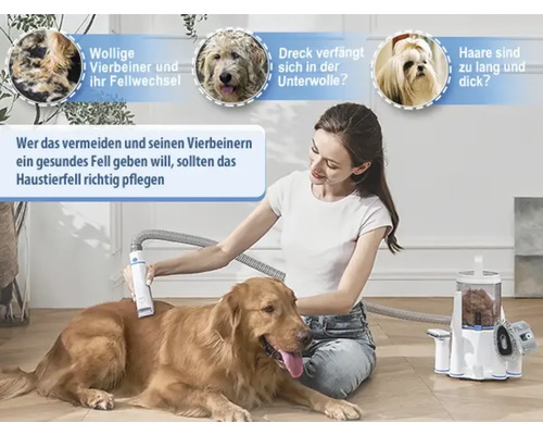 Frau pflegt das Fell eines Hundes mit einem Tierhaarsauger.