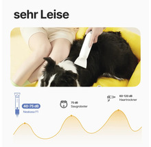 Eine Person verwendet einen Tierhaartrockner an einem Hund, der in einem gelben Hundebett liegt. Diagramm mit Geräuschpegelvergleich zu Staubsaugerrobotern und Haartrocknern.