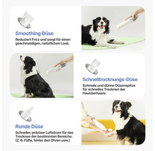 Produktabbildung mit einem Haartrockner für Haustiere mit verschiedenen Düsen und einem Border Collie.