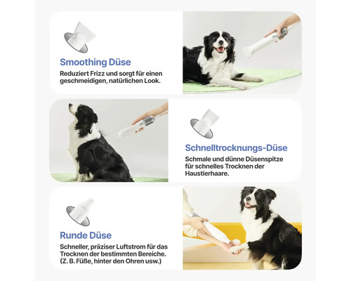 Produktabbildung mit einem Haartrockner für Haustiere mit verschiedenen Düsen und einem Border Collie.