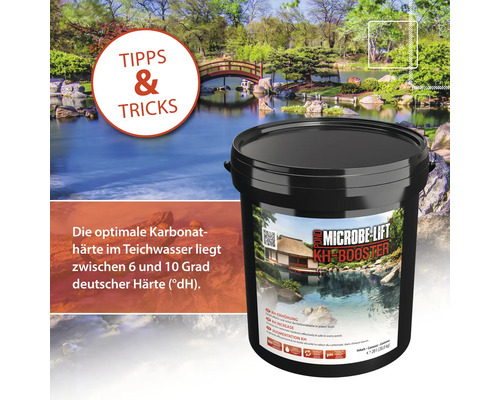 Microbe Lift KH Booster zur Erhöhung der Karbonathärte im Gartenteich vor asiatischer Gartenkulisse