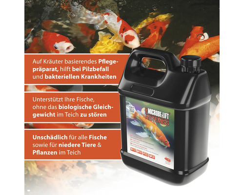 Microbe Lift Artemiss Teichpflege gegen Pilzbefall und bakterielle Erkrankungen