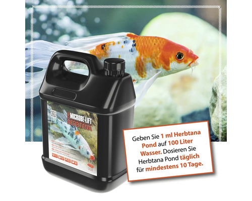 Microbe-Lift Herbtana Teichpflegeprodukt zur Fischpflege