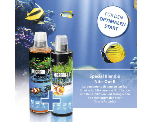 Microbe Lift Special Blend und Nite-Out II für Aquarien