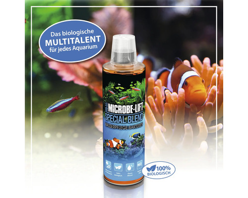 Microbe Lift Special Blend Wasserpflege Bakterien für Aquarien