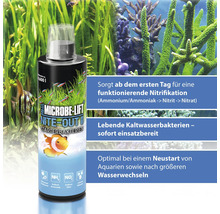 Microbe Lift Nite Out II Starterbakterien für Aquarien