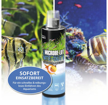 Microbe Lift Nite Out II Starterbakterien für Aquarien