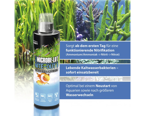Microbe Lift Nite Out II Starterbakterien für Aquarien