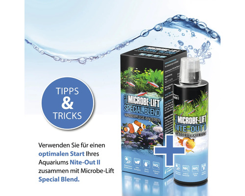 Microbe-Lift Special Blend Wasserpflege Bakterien und Nite-Out Starterbakterien für Aquarien